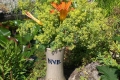 Alte Vase NVR